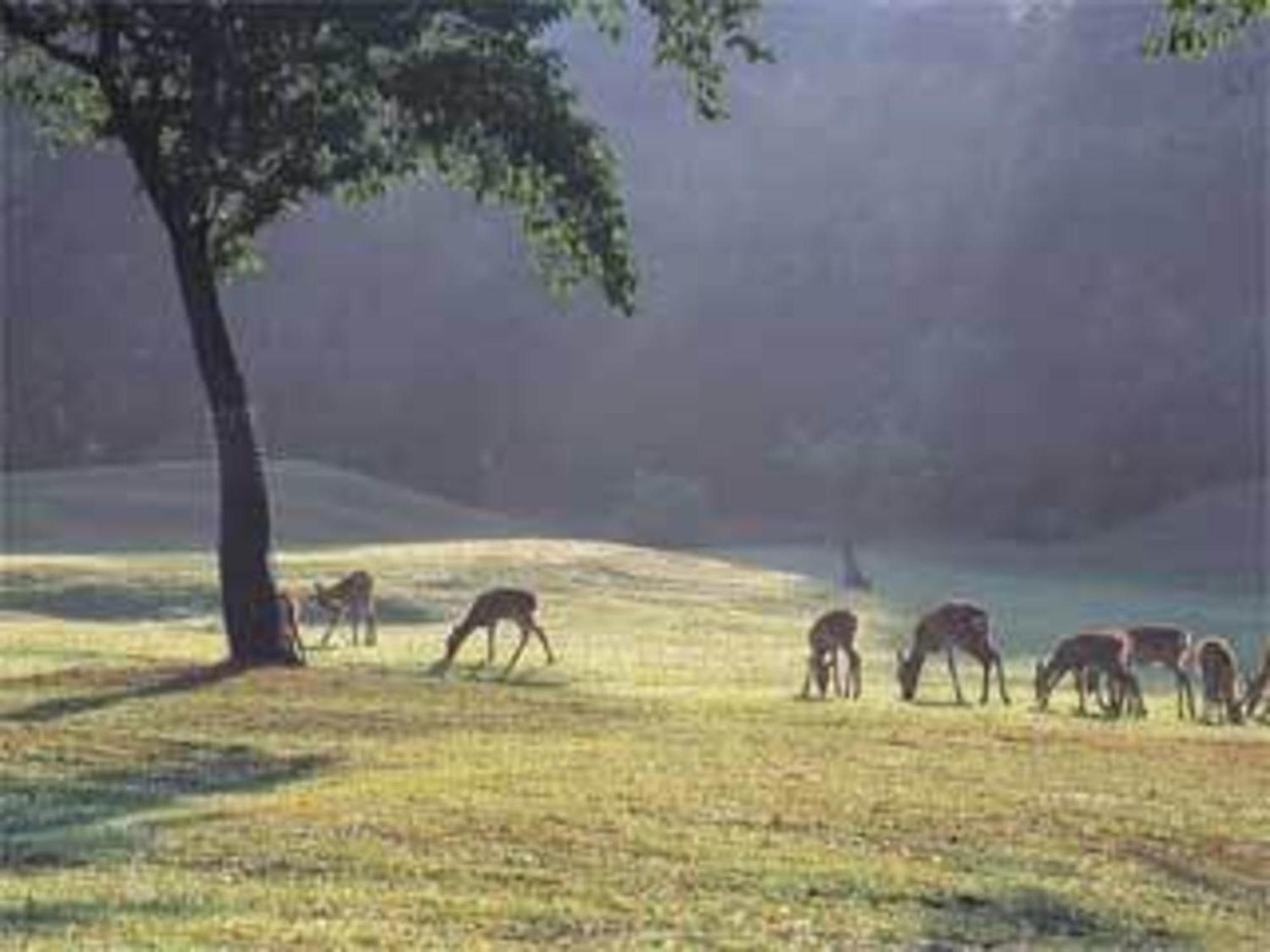 Hotel Hanakomichi - Vacation Stay 27580V Nara Eksteriør bilde